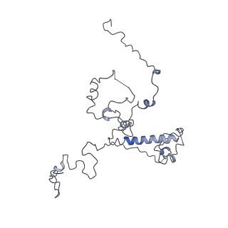 11829_7ane_Aq_v1-0
Leishmania Major mitochondrial ribosome