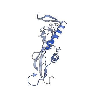 11829_7ane_Ar_v1-0
Leishmania Major mitochondrial ribosome