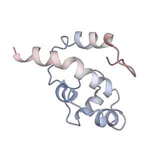 11829_7ane_As_v1-0
Leishmania Major mitochondrial ribosome