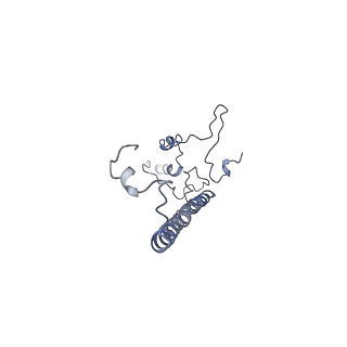 11829_7ane_Au_v1-0
Leishmania Major mitochondrial ribosome