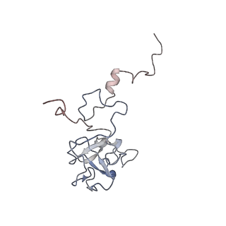 11829_7ane_Ax_v1-0
Leishmania Major mitochondrial ribosome