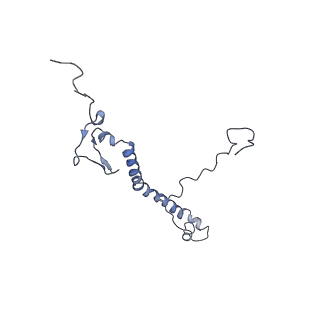 11829_7ane_Ay_v1-0
Leishmania Major mitochondrial ribosome