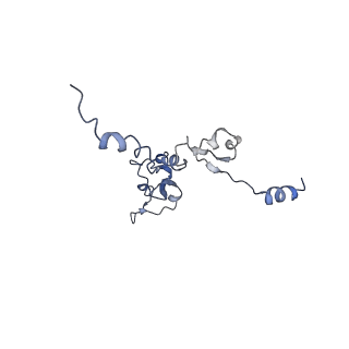 11829_7ane_Az_v1-0
Leishmania Major mitochondrial ribosome