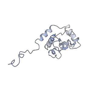 11829_7ane_BA_v1-0
Leishmania Major mitochondrial ribosome
