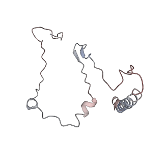 11829_7ane_BB_v1-0
Leishmania Major mitochondrial ribosome