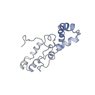 11829_7ane_BC_v1-0
Leishmania Major mitochondrial ribosome