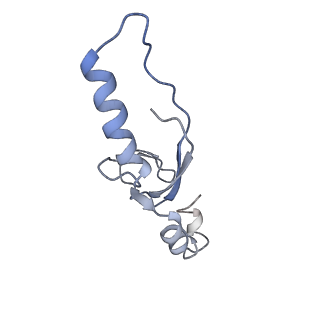 11829_7ane_BD_v1-0
Leishmania Major mitochondrial ribosome