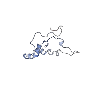 11829_7ane_BF_v1-0
Leishmania Major mitochondrial ribosome