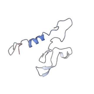 11829_7ane_BG_v1-0
Leishmania Major mitochondrial ribosome