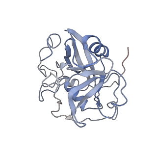 11829_7ane_BH_v1-0
Leishmania Major mitochondrial ribosome
