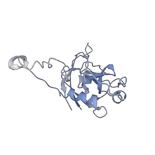 11829_7ane_BI_v1-0
Leishmania Major mitochondrial ribosome
