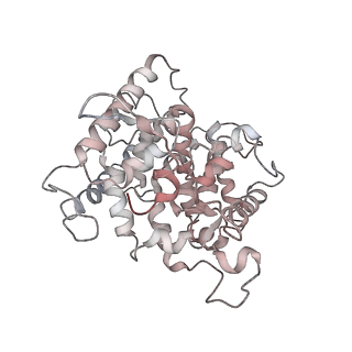 11829_7ane_BM_v1-0
Leishmania Major mitochondrial ribosome