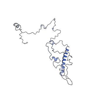 11829_7ane_BP_v1-0
Leishmania Major mitochondrial ribosome