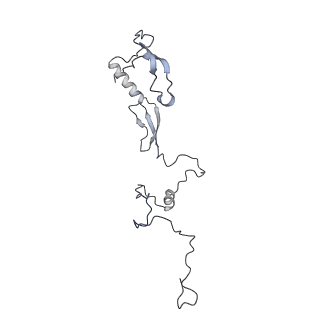 11829_7ane_Bj_v1-0
Leishmania Major mitochondrial ribosome