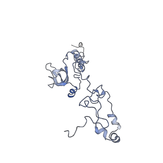 11829_7ane_C_v1-0
Leishmania Major mitochondrial ribosome