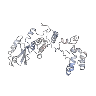 11829_7ane_E_v1-0
Leishmania Major mitochondrial ribosome