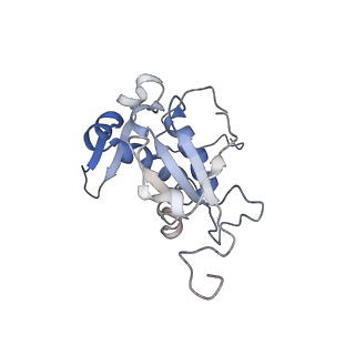 11829_7ane_F_v1-0
Leishmania Major mitochondrial ribosome
