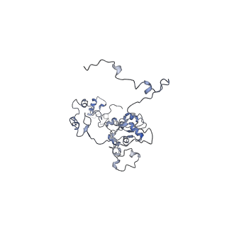 11829_7ane_G_v1-0
Leishmania Major mitochondrial ribosome
