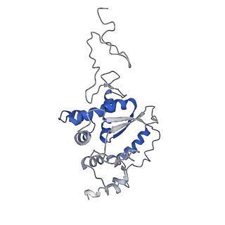 11829_7ane_I_v1-0
Leishmania Major mitochondrial ribosome