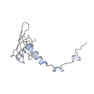 11829_7ane_J_v1-0
Leishmania Major mitochondrial ribosome