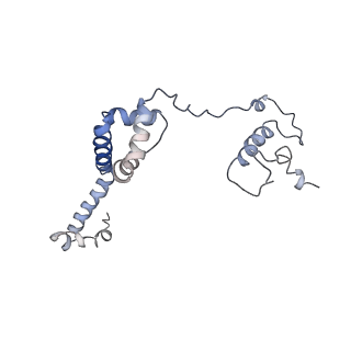 11829_7ane_K_v1-0
Leishmania Major mitochondrial ribosome