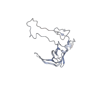 11829_7ane_L_v1-0
Leishmania Major mitochondrial ribosome