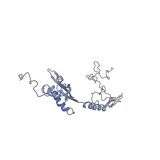 11829_7ane_M_v1-0
Leishmania Major mitochondrial ribosome