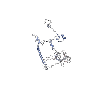 11829_7ane_O_v1-0
Leishmania Major mitochondrial ribosome