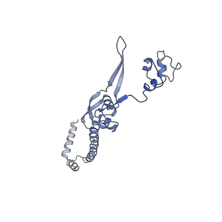 11829_7ane_Q_v1-0
Leishmania Major mitochondrial ribosome