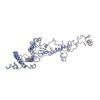 11829_7ane_R_v1-0
Leishmania Major mitochondrial ribosome