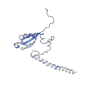 11829_7ane_S_v1-0
Leishmania Major mitochondrial ribosome