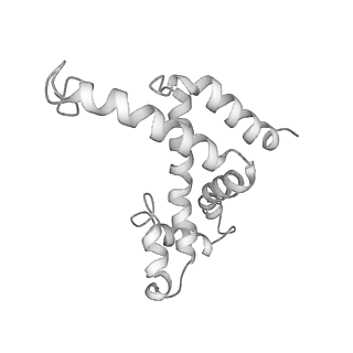 11829_7ane_UC_v1-0
Leishmania Major mitochondrial ribosome