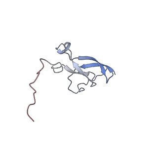 11829_7ane_U_v1-0
Leishmania Major mitochondrial ribosome