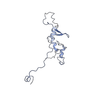 11829_7ane_V_v1-0
Leishmania Major mitochondrial ribosome