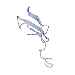 11829_7ane_W_v1-0
Leishmania Major mitochondrial ribosome