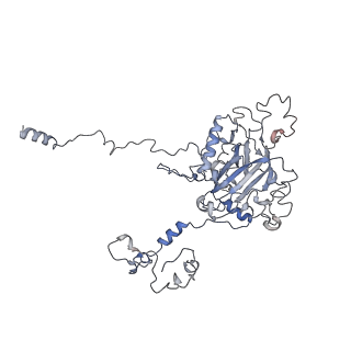 11829_7ane_X_v1-0
Leishmania Major mitochondrial ribosome
