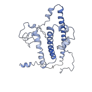 11829_7ane_Y_v1-0
Leishmania Major mitochondrial ribosome