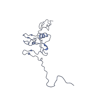11829_7ane_Z_v1-0
Leishmania Major mitochondrial ribosome