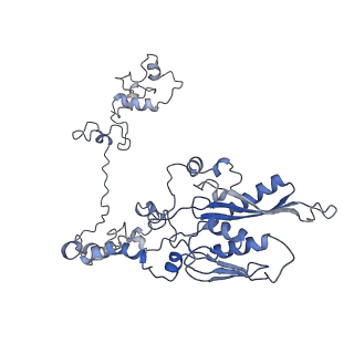 11829_7ane_a_v1-0
Leishmania Major mitochondrial ribosome