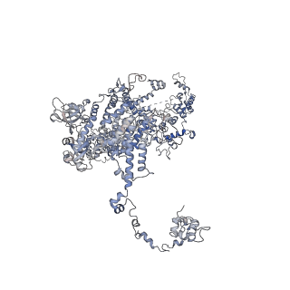 11829_7ane_aa_v1-0
Leishmania Major mitochondrial ribosome