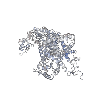11829_7ane_ac_v1-0
Leishmania Major mitochondrial ribosome