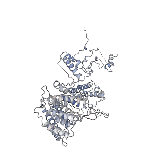 11829_7ane_ad_v1-0
Leishmania Major mitochondrial ribosome