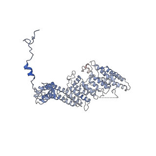 11829_7ane_af_v1-0
Leishmania Major mitochondrial ribosome