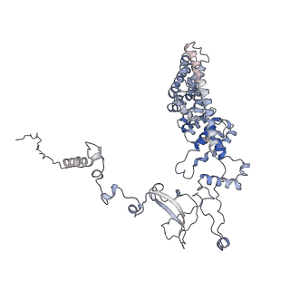 11829_7ane_ag_v1-0
Leishmania Major mitochondrial ribosome