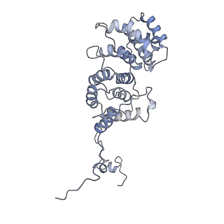 11829_7ane_aj_v1-0
Leishmania Major mitochondrial ribosome
