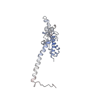 11829_7ane_ak_v1-0
Leishmania Major mitochondrial ribosome