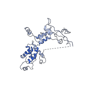 11829_7ane_am_v1-0
Leishmania Major mitochondrial ribosome