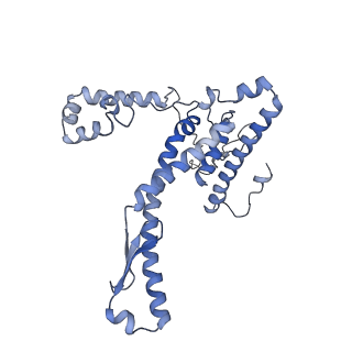 11829_7ane_an_v1-0
Leishmania Major mitochondrial ribosome