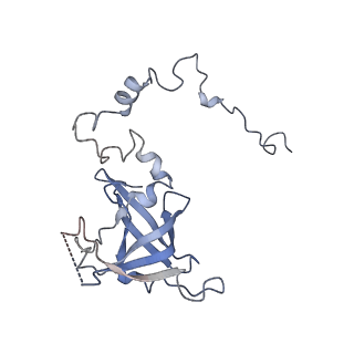 11829_7ane_ao_v1-0
Leishmania Major mitochondrial ribosome