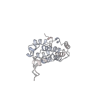 11829_7ane_aq_v1-0
Leishmania Major mitochondrial ribosome